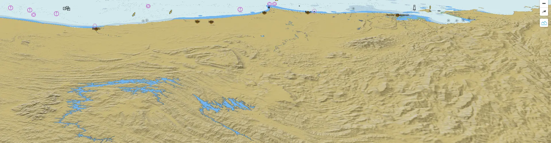 Woman Reading a Book